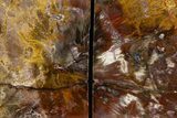 Tall Colorful Petrified Wood Bookends - Madagascar #303570-1